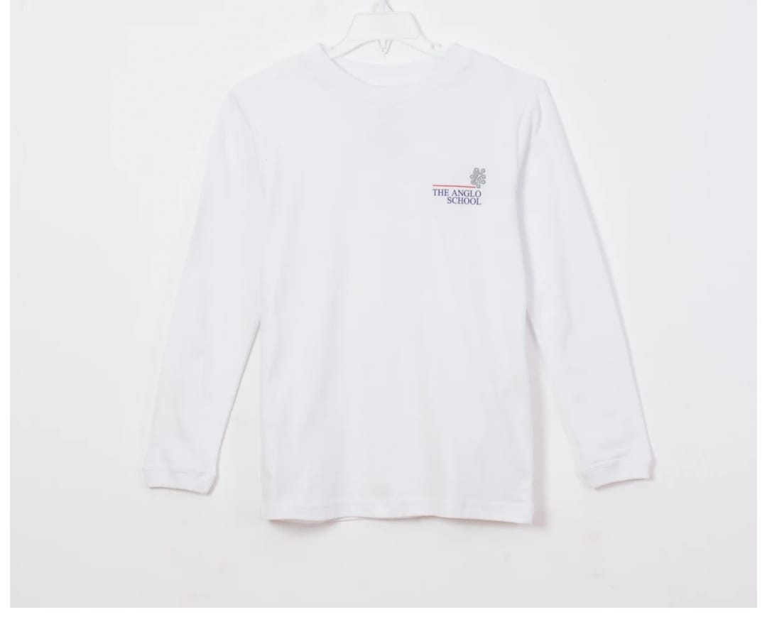 REMERA BASICA ANGLO MANGA LARGA